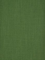 Hudson Cotton Blend Solid Back Tab Curtain (Color: Fern green)