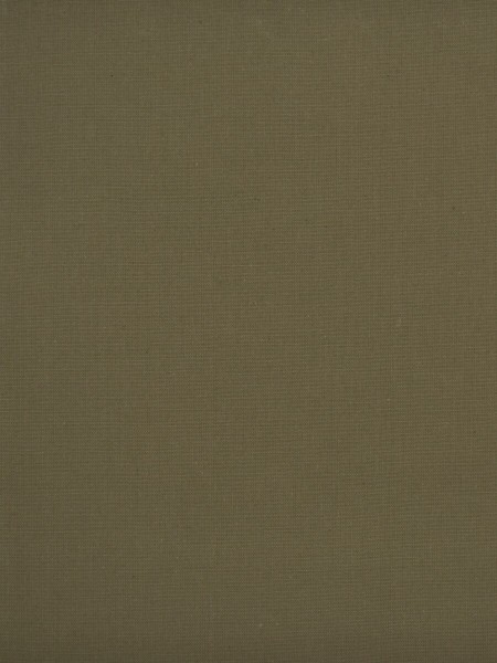 Moonbay Plain Pure Cotton Fabrics (Color: Ecru)