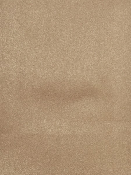 Swan Brown Color Solid Fabric Sample (Color: Beaver)