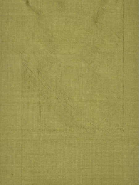 Oasis Crisp Plain Back Tab Dupioni Silk Curtains (Color: Apple green)