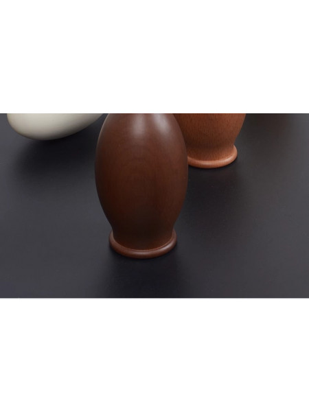 QYRF06 With Egg Fashion Wood Grain Outer Rod With Inner Track Set Ceiling/Wall Mount