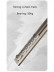 CHRY55 White/Champagne Very Thin Curtain Rails Concealed Ceiling Mounted