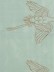 Halo Embroidered Cranes Dupioni Silk Custom Made Curtains (Color: Magic mint)