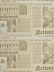 Eos Newspaper Printed Faux Linen Double Pinch Pleat Curtain (Color: Chamoisee)