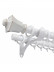 QYR0721 1-1/8" Duval Aluminum Alloy Double Curtain Rod Sets