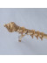 QYR91 1-1/4" Diameter Custom Made Curtain Rods For Heavy Duty Curains(Color: Light gold)