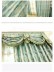 Jacquard Yellow Blue Coffee color Floral Waterfall and Swag Luxury Valance and Sheers Living room Curtains Pair in blue color