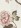 Eggshell