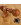 Teak