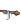Teak