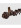 Black walnut