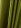 Dark Moss Green